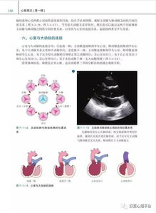 心超基礎(chǔ)知識(shí)