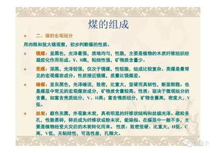 往復(fù)式壓縮機的基礎(chǔ)知識幻燈片,煤質(zhì)化驗基礎(chǔ)知識,煤質(zhì)化驗員的基礎(chǔ)知識