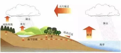 夯實基礎(chǔ)就是注重學生基礎(chǔ)知識