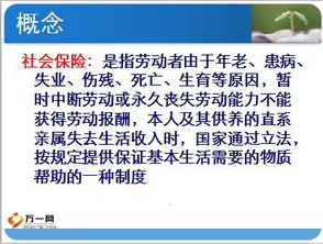 保險(xiǎn)基礎(chǔ)知識第360頁