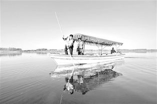 白洋淀紀(jì)事基礎(chǔ)知識(shí)