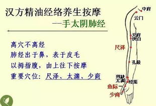 什么叫中醫(yī)基礎(chǔ)知識(shí)