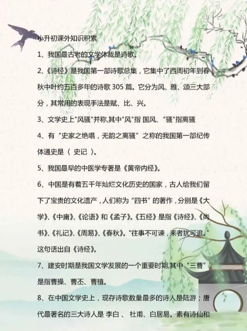 小升初語(yǔ)文基礎(chǔ)知識(shí)積累