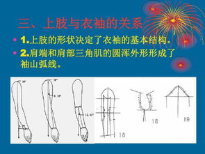 基礎知識,課件,結構,服裝