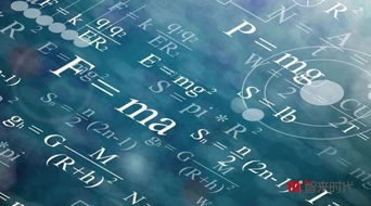 美術(shù)基礎(chǔ)知識和時尚敏銳知識