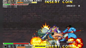 三國戰(zhàn)記基礎(chǔ)知識