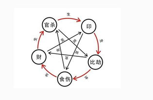 神相知識(shí)基礎(chǔ)