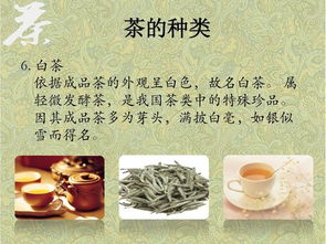 中國茶的基礎知識