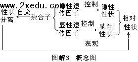 高二生物基礎(chǔ)知識(shí)過關(guān)