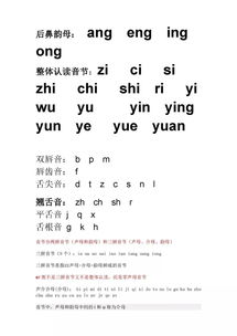 人教版語文拼音基礎(chǔ)知識(shí)