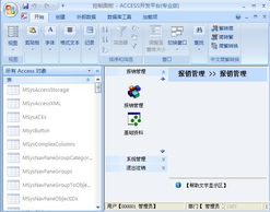 Access窗體的基礎知識