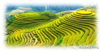 農(nóng)林經(jīng)濟(jì)管理基礎(chǔ)知識(shí)