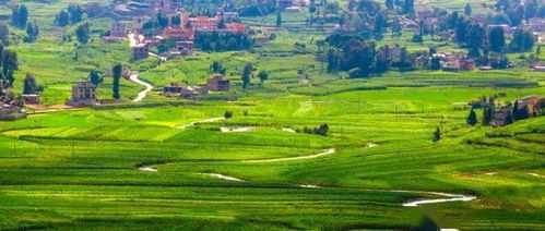 新疆阿勒泰綜合基礎知識