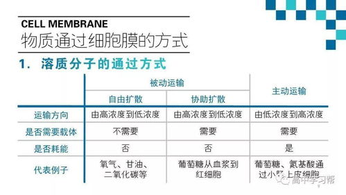 基礎(chǔ)知識(shí),生物,醫(yī)學(xué)