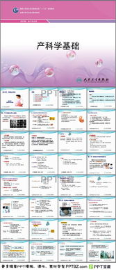 妊娠基礎(chǔ)知識PPT