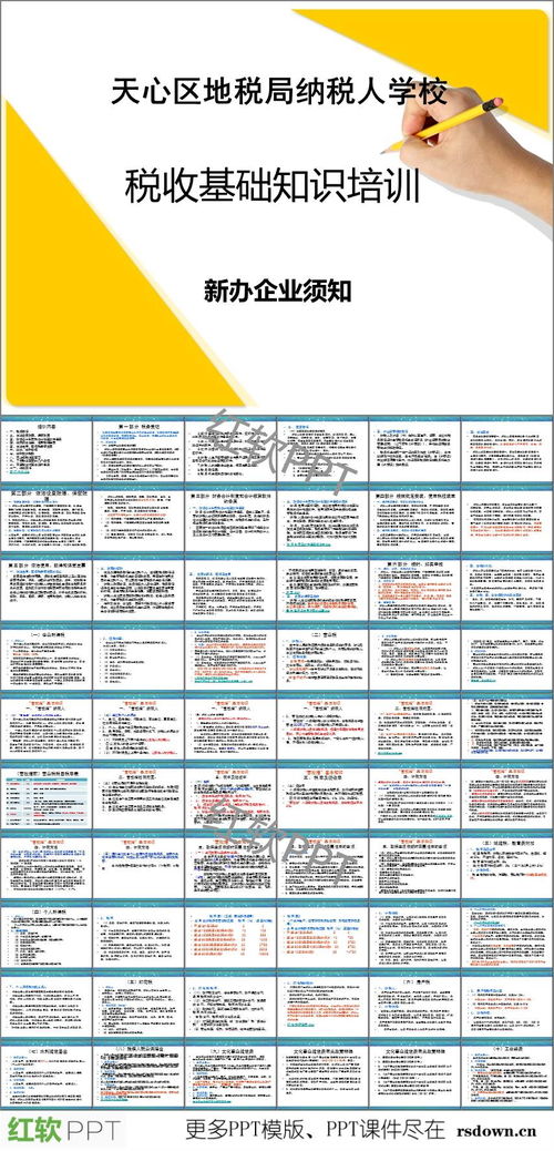 稅務(wù)基礎(chǔ)知識