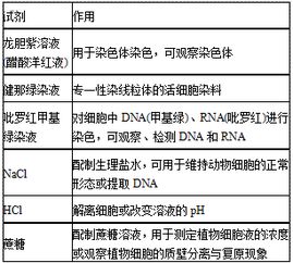 生物基礎(chǔ)學(xué)科知識(shí)