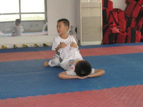 跆拳道的基礎(chǔ)知識(shí),跆拳道基礎(chǔ)知識(shí)問(wèn)答,跆拳道基礎(chǔ)知識(shí)教學(xué)