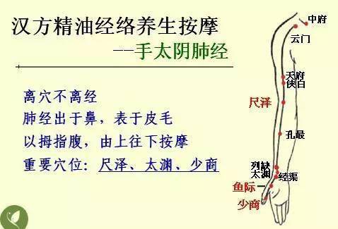 中醫(yī)基礎(chǔ)知識(shí)大全