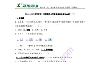 信息技術(shù),基礎(chǔ)知識,八級,復(fù)習(xí)