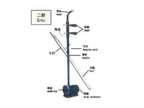 高音二胡基礎(chǔ)知識(shí)