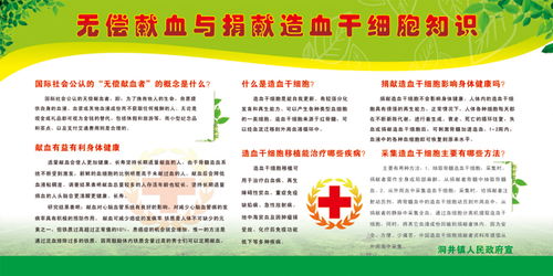 血干細(xì)胞基礎(chǔ)知識