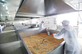 農(nóng)產(chǎn)品加工業(yè)基礎(chǔ)知識