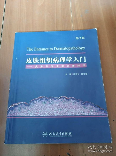 皮膚科臨床基礎(chǔ)知識(shí)