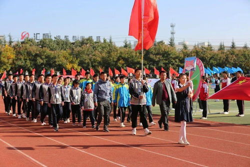 隊的基礎(chǔ)知識四