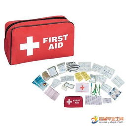 急救,基礎(chǔ)知識(shí),匯總,護(hù)理