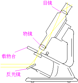 放大鏡基礎(chǔ)知識