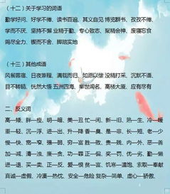 基礎(chǔ)知識(shí),小學(xué)生