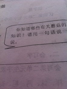 蘑菇的基礎(chǔ)知識