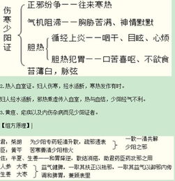 初級中藥師基礎(chǔ)知識講義