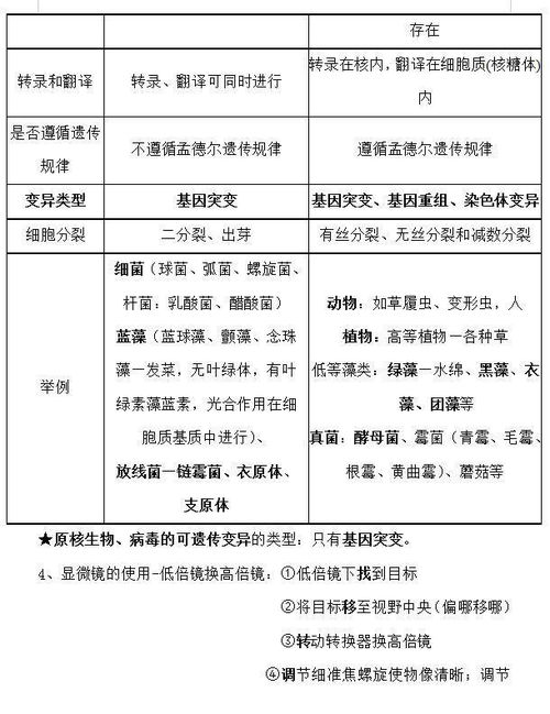 高中生物基礎(chǔ)知識與能力