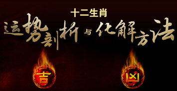 包雙龍八字基礎(chǔ)知識(shí)