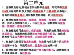 生物醫(yī)學(xué)基礎(chǔ)知識,生物醫(yī)學(xué)基礎(chǔ)知識測試,生物基礎(chǔ)知識高中