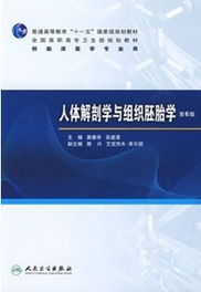 人體解剖學與組織胚胎學基礎(chǔ)知識點