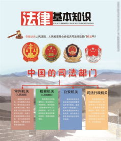 法律基礎(chǔ)知識簡報