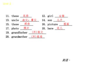 基礎(chǔ)知識怎么翻譯