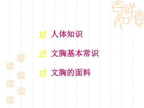 基礎(chǔ)知識,內(nèi)衣,ppt