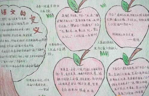 第一單元基礎(chǔ)知識(shí)歸類手抄報(bào)語文