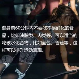 健身教練基礎(chǔ)知識匯總