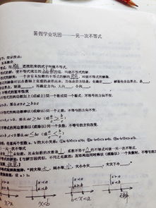 初二數(shù)學旋轉基礎知識