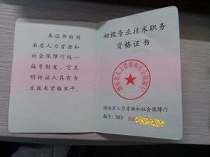 初級助理工程師職業(yè)基礎(chǔ)知識