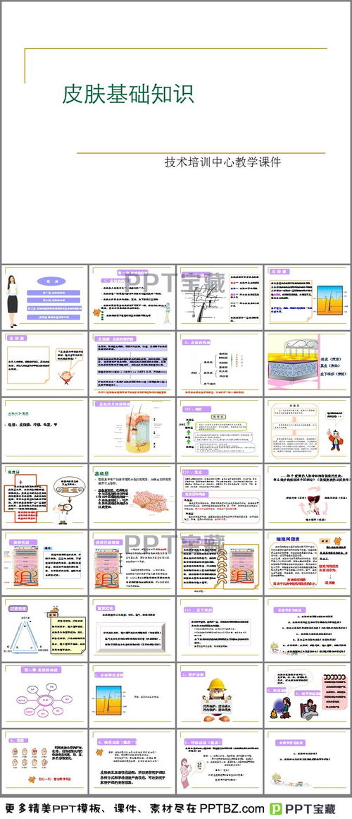皮膚基礎知識培訓教材6