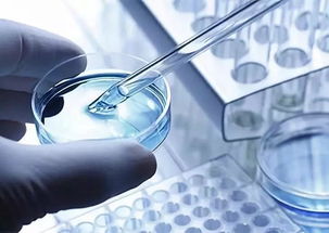 做科學(xué)研究需要哪些基礎(chǔ)知識