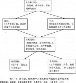 基礎(chǔ)的人力資源管理知識