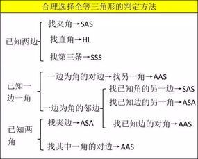 初中數(shù)學9個基礎(chǔ)知識