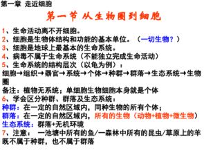 高一生物必修一基礎(chǔ)知識(shí)過關(guān)檢測(cè)答案,高一生物必修一基礎(chǔ)知識(shí)填空,生物必修一基礎(chǔ)知識(shí)填空答案